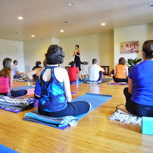 Tara Yoga Movement and Wellness Clinic