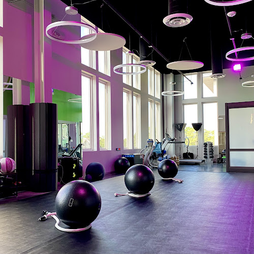 The Hack | Anti-Aging, Wellness, & Movement