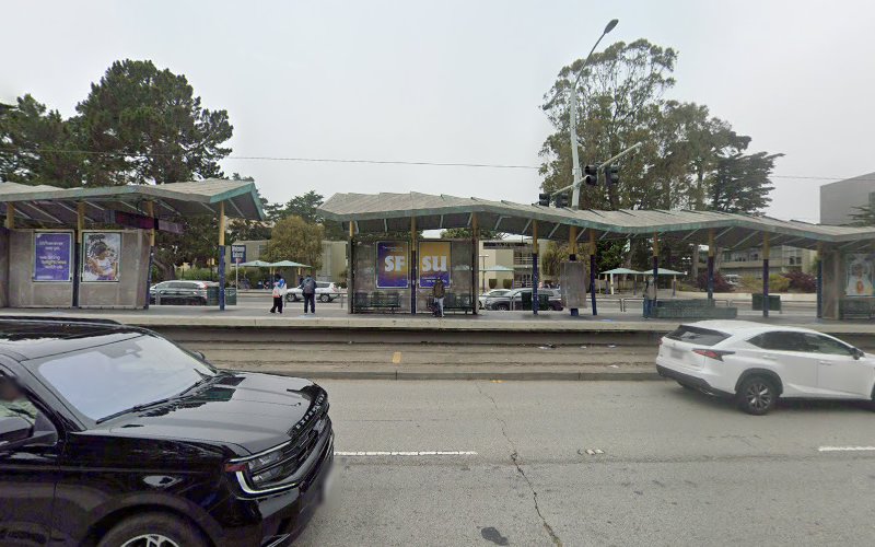 The Institute for Holistic Health Studies