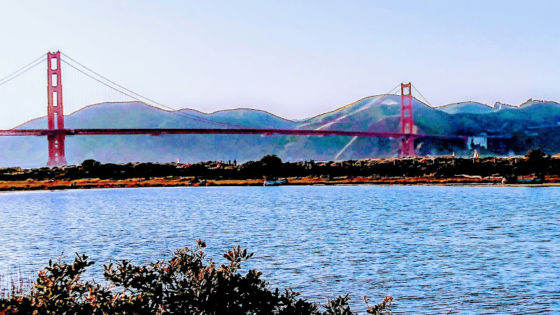 The MIYNS Maharishi Institute of Yoga