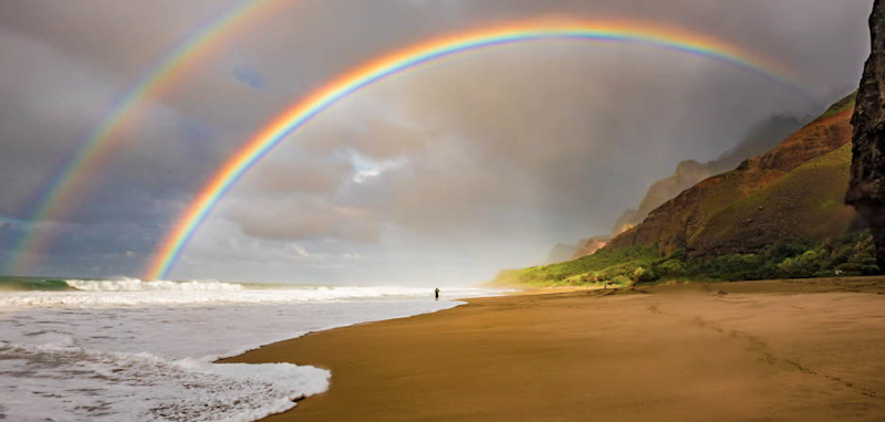 The Path of Meditation for Living ALOHA