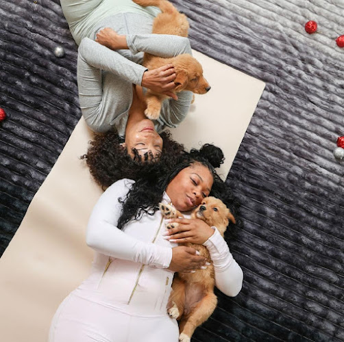 The Puppy Yoga Center