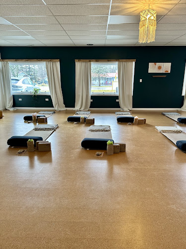 The Wellness Refinery