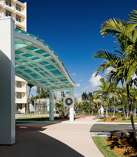 Timeless Health - Functional Medicine & Longevity Clinic