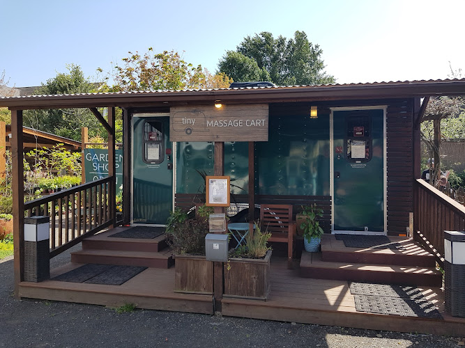 Tiny Massage Cart