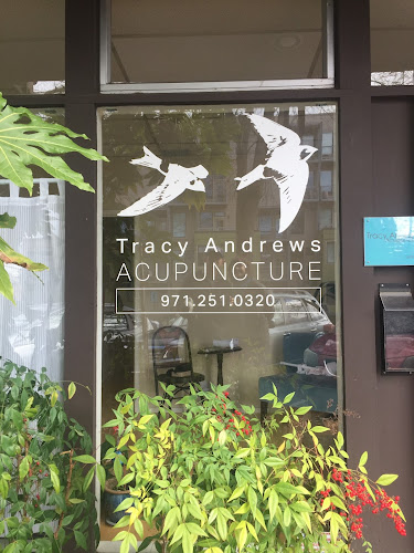 Tracy Andrews Acupuncture