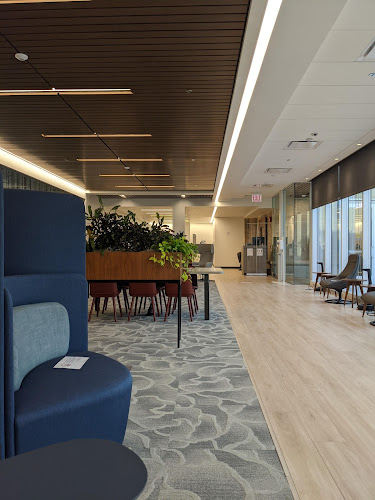 UChicago Student Wellness Center