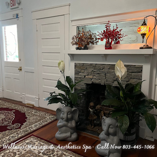 Wellness Massage & Aesthetics Spa