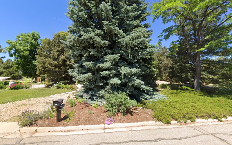 Wholistic Health, LLC